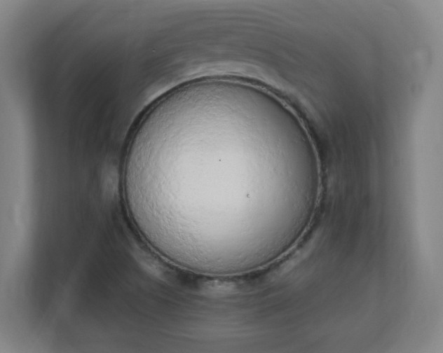 X0000111131505200907071007