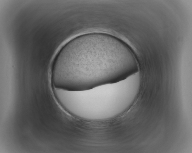 X0000111131508200907071007