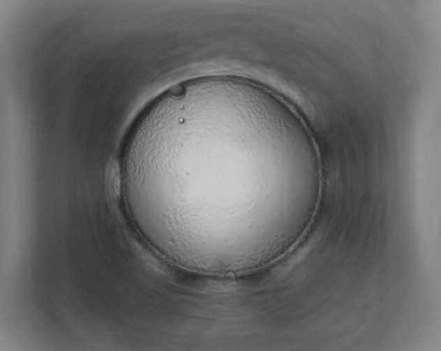 X0000111131509200907071007