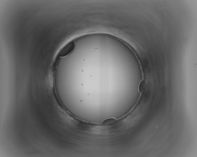 X0000111131510200907071007