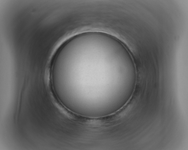 X0000111131511200907071007