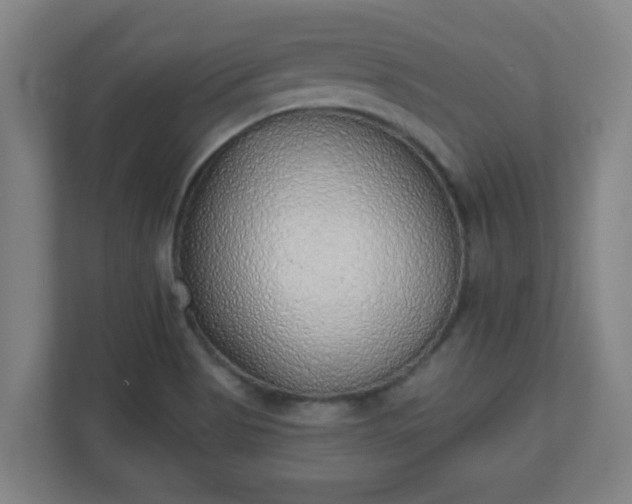 X0000111131513200907071007