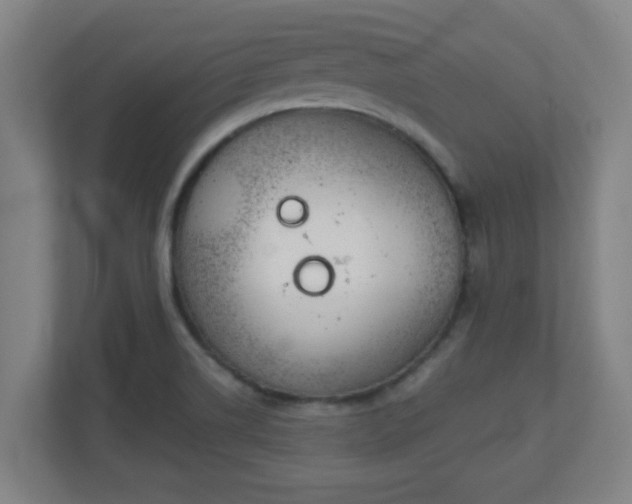 X0000111131514200907071007
