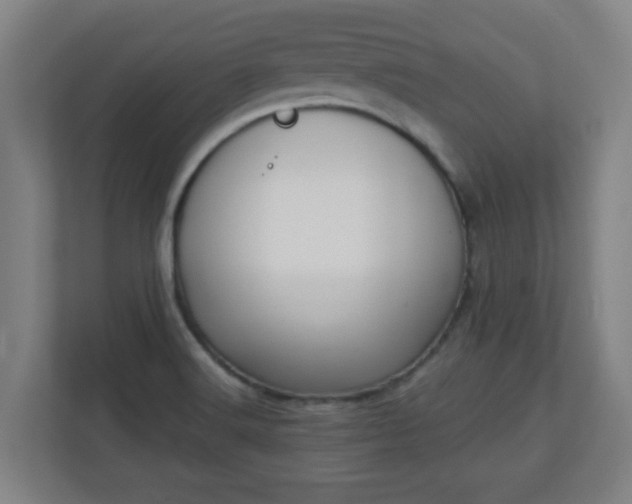X0000111131516200907071007