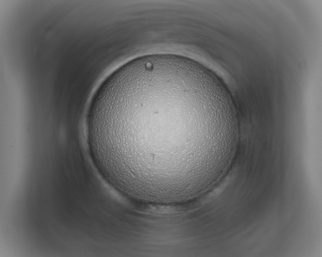 X0000111131517200907071007