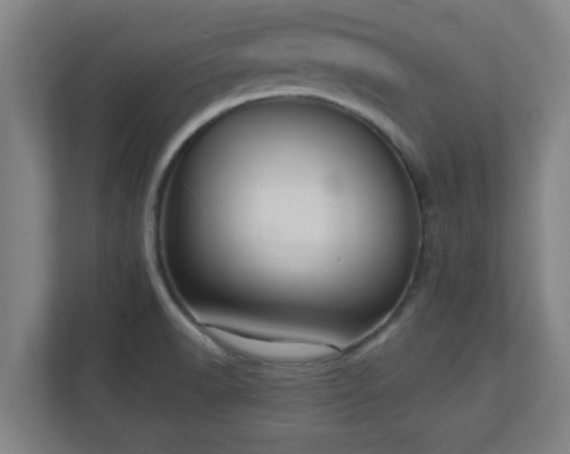 X0000111131518200907071007