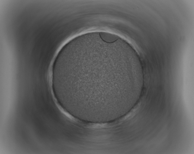 X0000111131519200907071007
