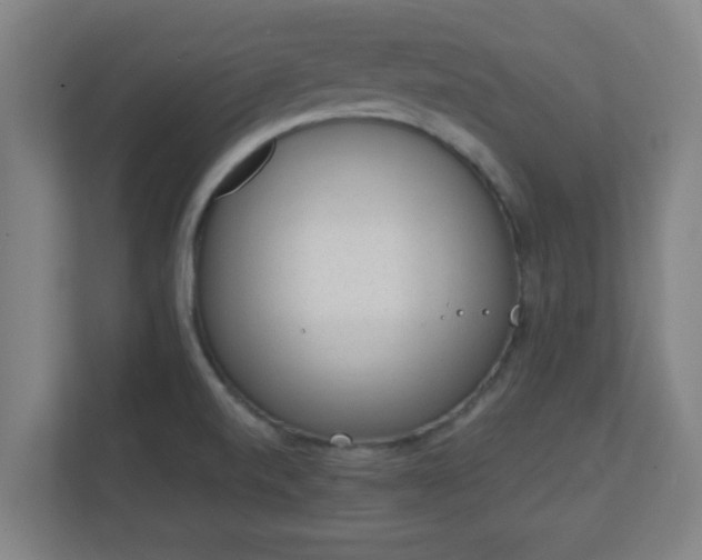 X0000111131520200907071007