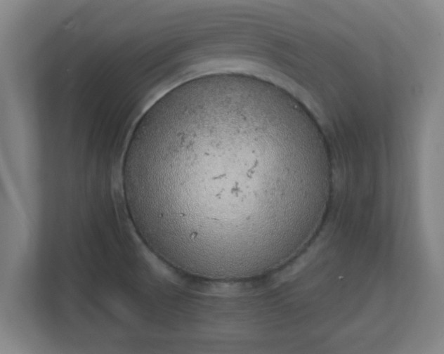 X0000111131521200907071007