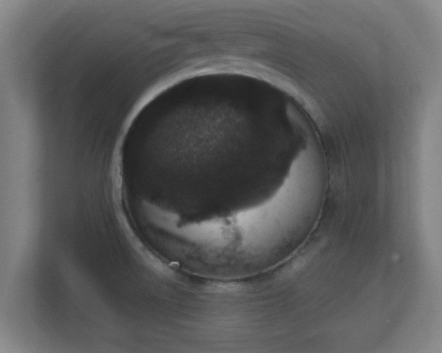 X0000111131522200907071007