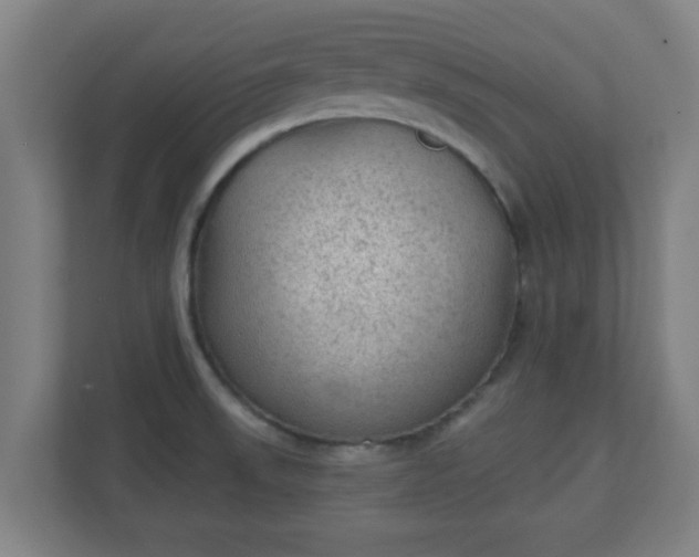 X0000111131523200907071007