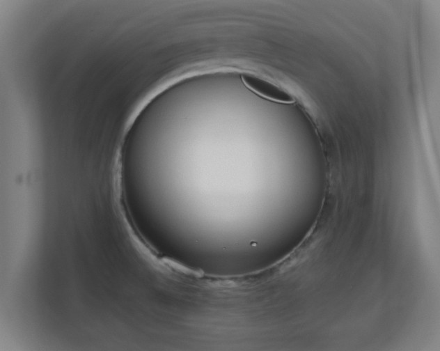 X0000111131524200907071007