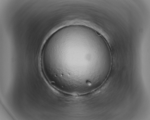 X0000111131525200907071007