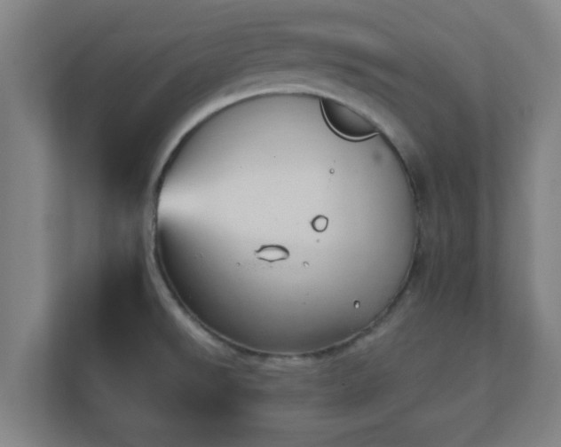 X0000111131526200907071007