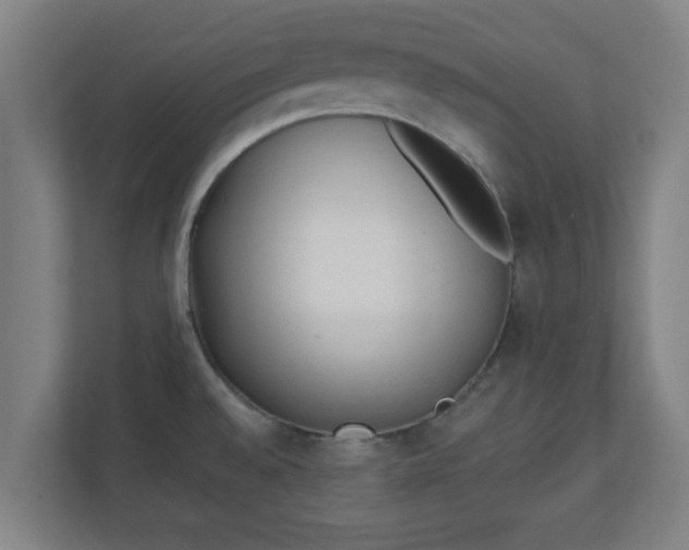 X0000111131528200907071007
