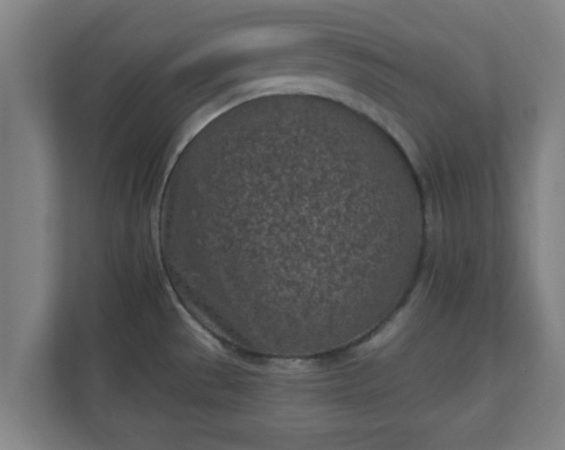 X0000111131529200907071007
