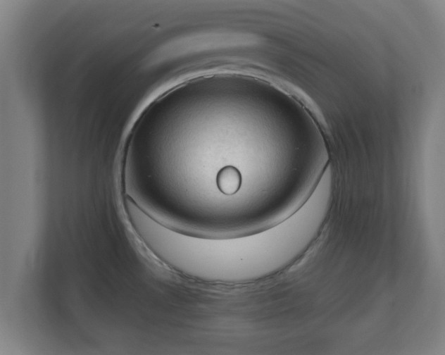 X0000111131530200907071007