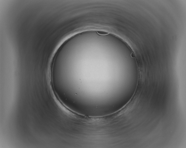 X0000111131531200907071007