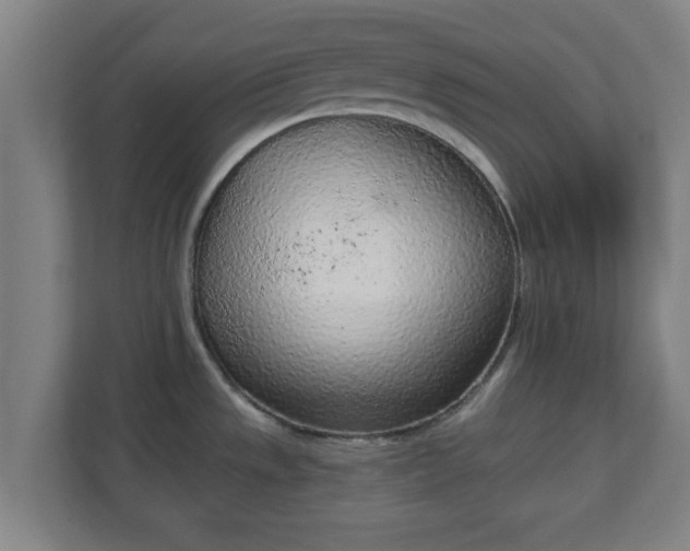 X0000111131533200907071007