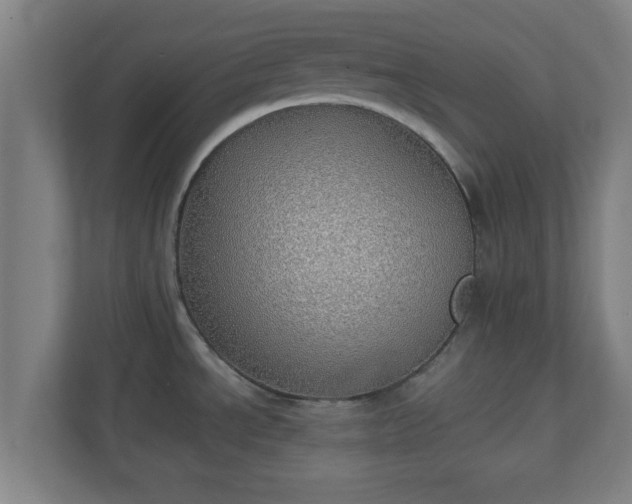 X0000111131534200907071007