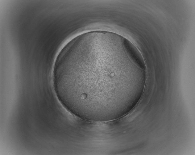 X0000111131536200907071007