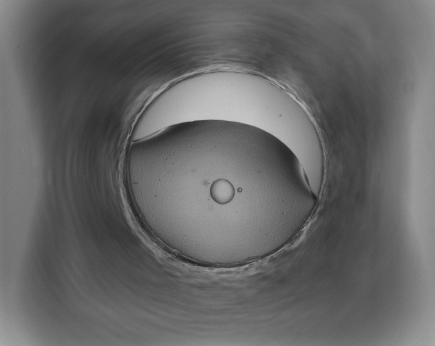 X0000111130001200907141220