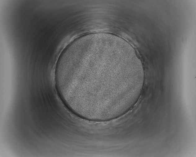 X0000111130002200907141220