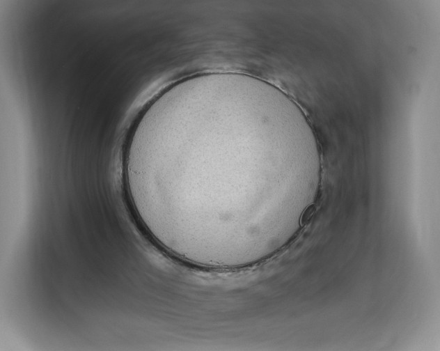 X0000111130005200907141220