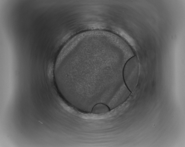 X0000111130009200907141220