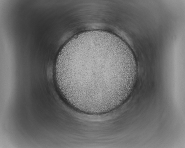 X0000111130010200907141220