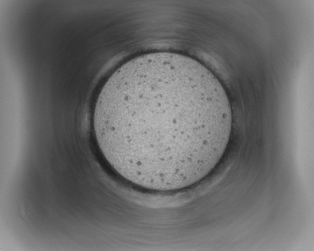 X0000111130016200907141220
