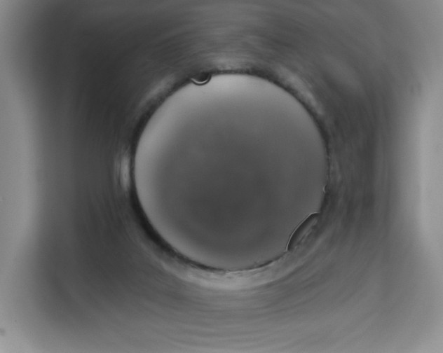 X0000111130019200907141220