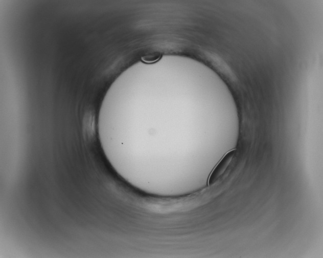 X0000111130021200907141220