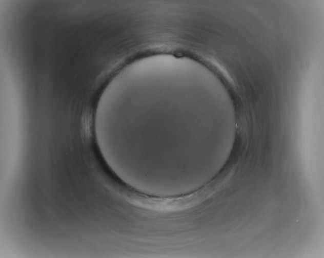 X0000111130023200907141220
