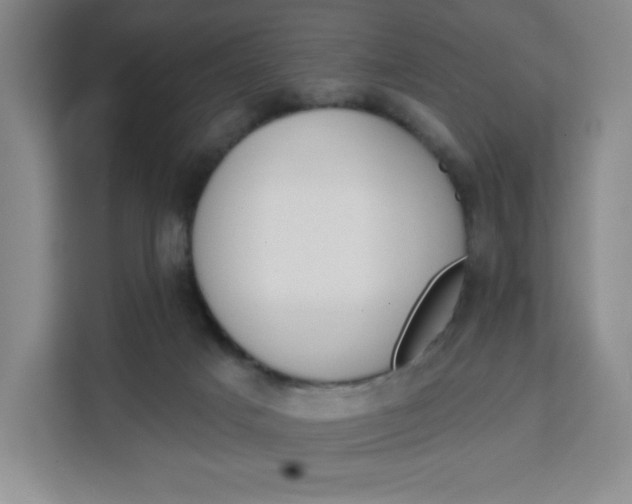 X0000111130025200907141220