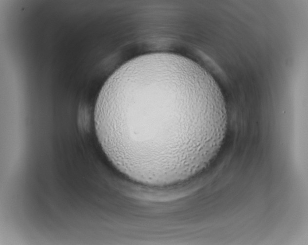 X0000111130026200907141220