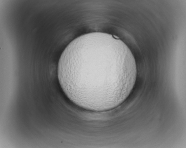 X0000111130036200907141220