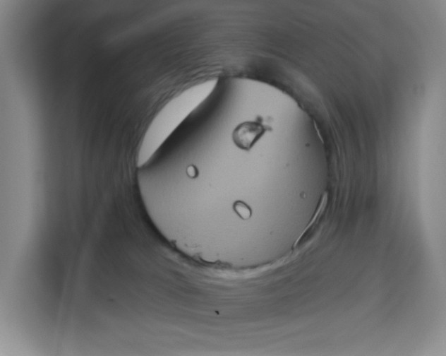 X0000111130037200907141220
