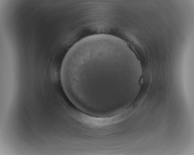 X0000111130039200907141220