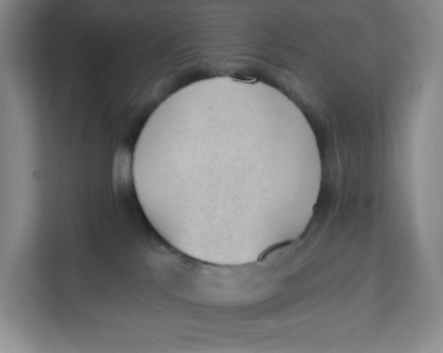 X0000111130041200907141219