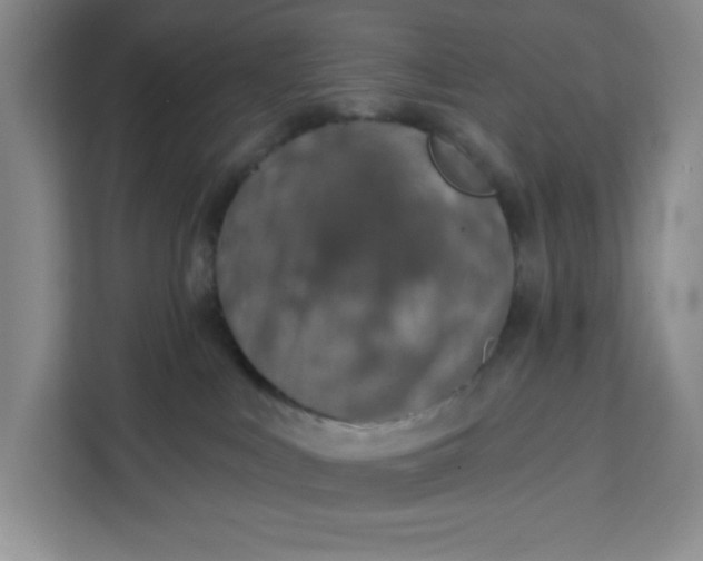 X0000111130043200907141219