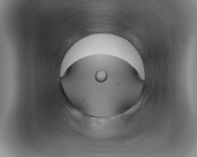 X0000111130045200907141219