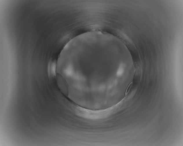 X0000111130047200907141219
