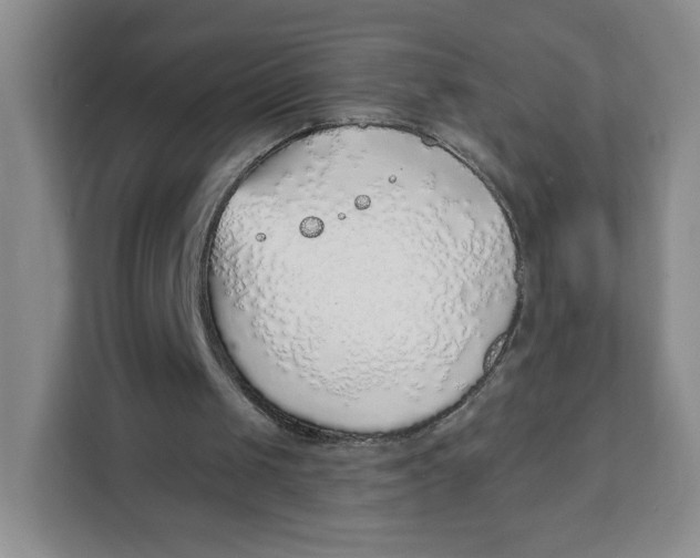 X0000111130049200907141219