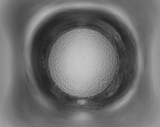 X0000111130050200907141219