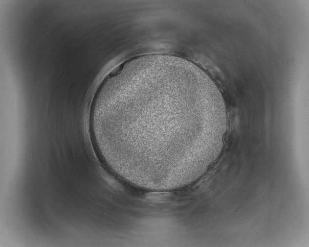 X0000111130051200907141219