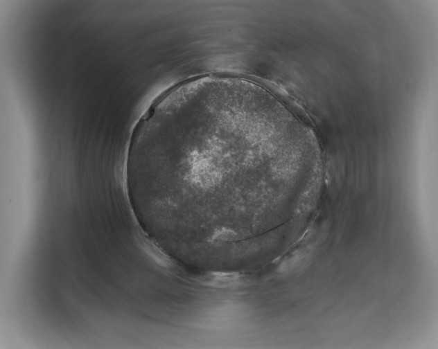 X0000111130052200907141219