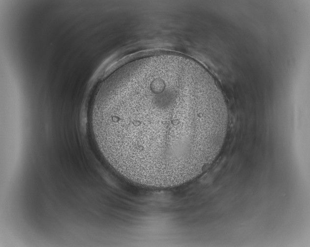 X0000111130053200907141219