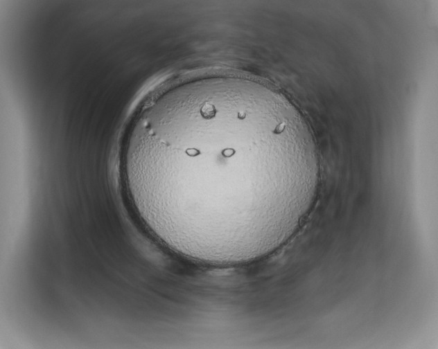 X0000111130054200907141219