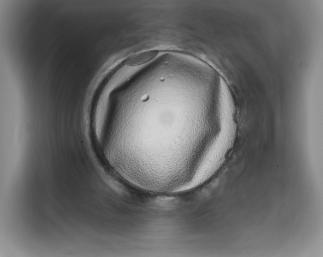 X0000111130055200907141219